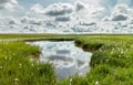 Open grassland and clouds with reflections in water. Iceland. Royalty Free Stock Photo