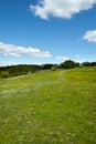 Open grasslands where The Cotswold Way long distance footpath passes Standish Wood viewpoint. Royalty Free Stock Photo