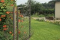 Open gray metal gate made of iron rods in a forged pattern Royalty Free Stock Photo