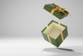 Open green gift box with gold ribbon and bow on white background with shadow