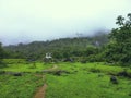 Open Green Grass Land With Mountains in the Background Covered With Clouds Royalty Free Stock Photo