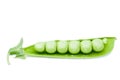 Open green peas pod Royalty Free Stock Photo
