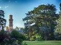 Big Tree at Massey Park in Tarbes France Royalty Free Stock Photo