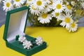 An open green velvet box for jewelry. In it lies a set: a ring and earrings with pearls. Next to the vase is a bouquet of chamomil Royalty Free Stock Photo