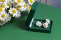 An open green velvet box for jewelry. In it lies a set: a ring and earrings with pearls. Next to the vase is a bouquet of chamomil Royalty Free Stock Photo