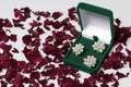 An open green velvet box for jewelry. In it lies a set: a ring and earrings with pearls. On a white background, strewn with dried Royalty Free Stock Photo