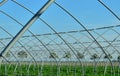 Open Greenhouse Royalty Free Stock Photo