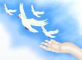 Open Hand Releasing Freedom Bird in Clear Blue Sky Royalty Free Stock Photo