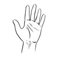 Open hand showing and wrist. Vector flat outline icon illustration isolated on white background Royalty Free Stock Photo