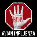 Open hand with the text stop avian influenza. Global problem