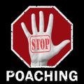 Open hand with the text stop poaching. Global social problem Royalty Free Stock Photo