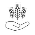 Open hand with wheat ears linear icon Royalty Free Stock Photo
