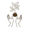 Open hands with small tree avatar character Royalty Free Stock Photo