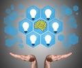 Human brain ideas concept sustained by open hands