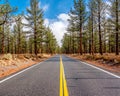 Open highway in California