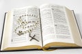 Open holy bible and beads Royalty Free Stock Photo