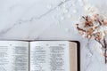 Open holy bible book and beautiful spring tree branch with flowers and petals on white table, top view Royalty Free Stock Photo