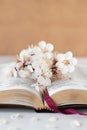 Open holy bible book and spring tree branch with white flowers, vertical shot Royalty Free Stock Photo