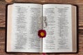 Open Holy Bible Book with two wedding rings and flower, top view, love and marriage concept Royalty Free Stock Photo