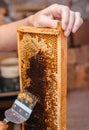 Delicious and healthy honey sealed in a honeycomb. Open honey in a bee wooden frame with a special tool. Long working knife for