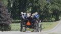 Open Horse and Buggy With An Entire Amish Family Traveling