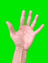 Open Human Hand on Green Screen Background Royalty Free Stock Photo
