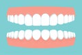 Open human mouth with jaws full of teeth, gums isolated. Dental, stomatology concept. Flat style, bright medical clipart Royalty Free Stock Photo