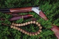 An open hunting rifle with cartridges and a knife in a leather case, lying on the branches of green fir Royalty Free Stock Photo