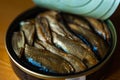 Open jar of sprats in oil on the kitchen table Royalty Free Stock Photo