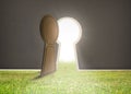 Open keyhole door on grass floor Royalty Free Stock Photo