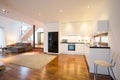 Open kitchen and drawing room Royalty Free Stock Photo