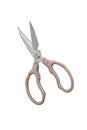 Open kitchen scissors on a white background Royalty Free Stock Photo