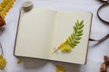 Open leather bound notebook with leaf Royalty Free Stock Photo