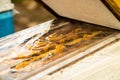 Open lid of beehive in cold weather in spring. Inspection of bee families on apiary in spring in cold weather. Bees under film, on