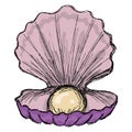 Open, lilac seashell with a beige pearl inside, isolated on a transparent Royalty Free Stock Photo