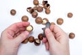 Open Macadamia nut by tool on background Royalty Free Stock Photo