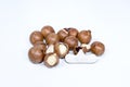 Open Macadamia nut by tool on background Royalty Free Stock Photo