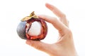 Open Mangosteen in Hand