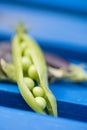 Open marrowfat and green pea in blue Royalty Free Stock Photo