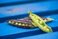 Open marrowfat and green pea in blue Royalty Free Stock Photo