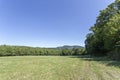 Open meadow in the Pilis mountains, Hungary Royalty Free Stock Photo