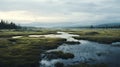 Arctic Expedition: Serene Marsh In The Mountains