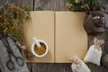 Open medical recipe book; Hypericum bunch; mortar and vintage teapot. Top view.