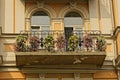 Open metal balcony with flowers in the vases and windows on the brown wall Royalty Free Stock Photo