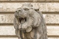 The open mouth of the stone lion