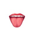 Open mouth with tongue and teeth, red lips of girl, isolated healthy oral cavity Royalty Free Stock Photo