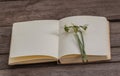 Open Notebook with Blank Pages and Snowdrops Royalty Free Stock Photo