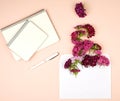 open notebook with blank sheets and Turkish carnation Dianthus barbatus flower Royalty Free Stock Photo