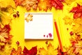Open notebook with blank white pages for text, two colored pencils on bright autumn leaves, top view Royalty Free Stock Photo
