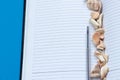 An open notebook, diary or planner containing an open blue pen with marine fossils and shells and blank pages in a line on the Royalty Free Stock Photo